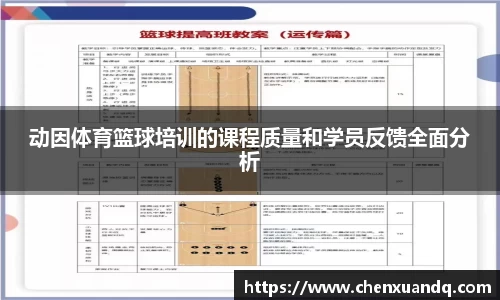 动因体育篮球培训的课程质量和学员反馈全面分析